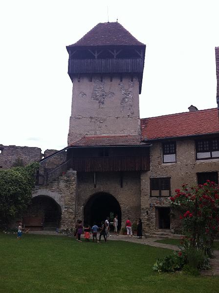photo (2).JPG